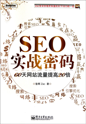 seo实战密码（新版）电子书下载