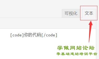 如何在网站添加“运行代码”功能