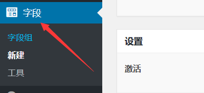 WordPress文章自定义字段插件Advanced Custom Fields